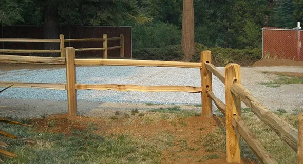 A wooden fence next to a tree exemplifies the strength and durability of post and pole fencing in the landscape.